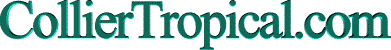 Collier-2.gif (3384 bytes)